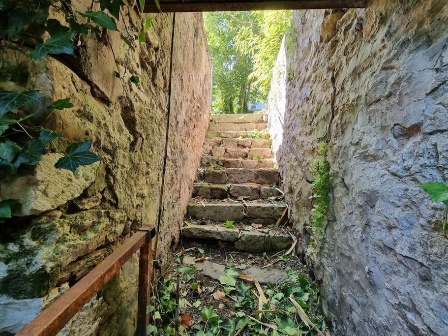 Elegance Provinoise Aux Pieds Des Remparts Classe プロヴァン エクステリア 写真